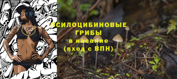 дурь Алзамай