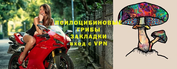 дурь Алзамай