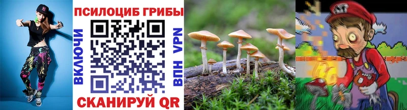 Галлюциногенные грибы Psilocybine cubensis  где продают   blacksprut ONION  Задонск 